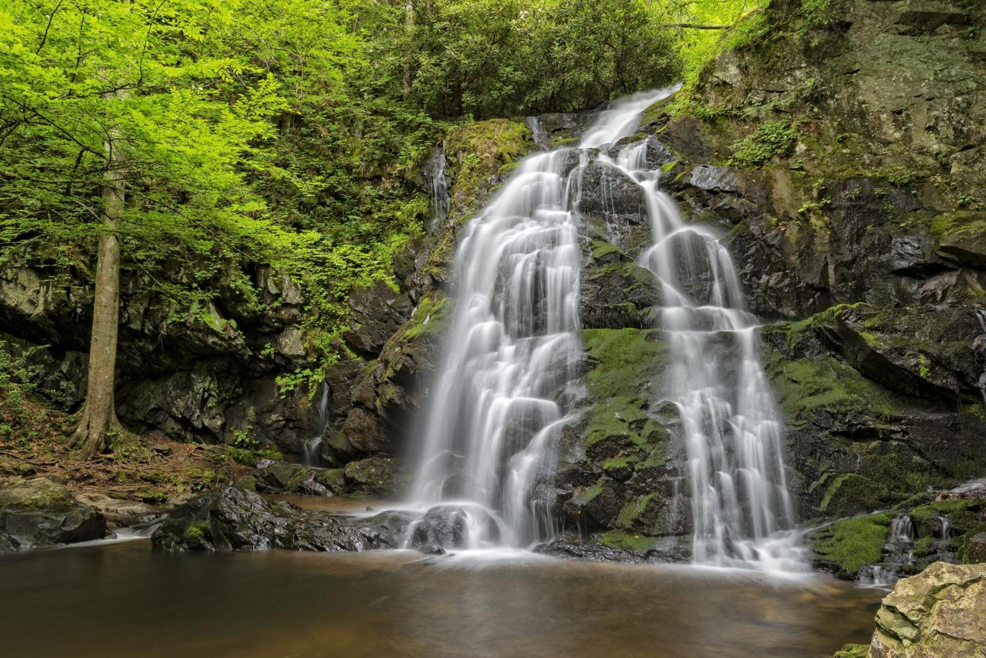 Hidden Creek, Pool Table, Hot Tub, 1089 Free Tickets Each Paid Day, Dollywood And More Gatlinburg Buitenkant foto