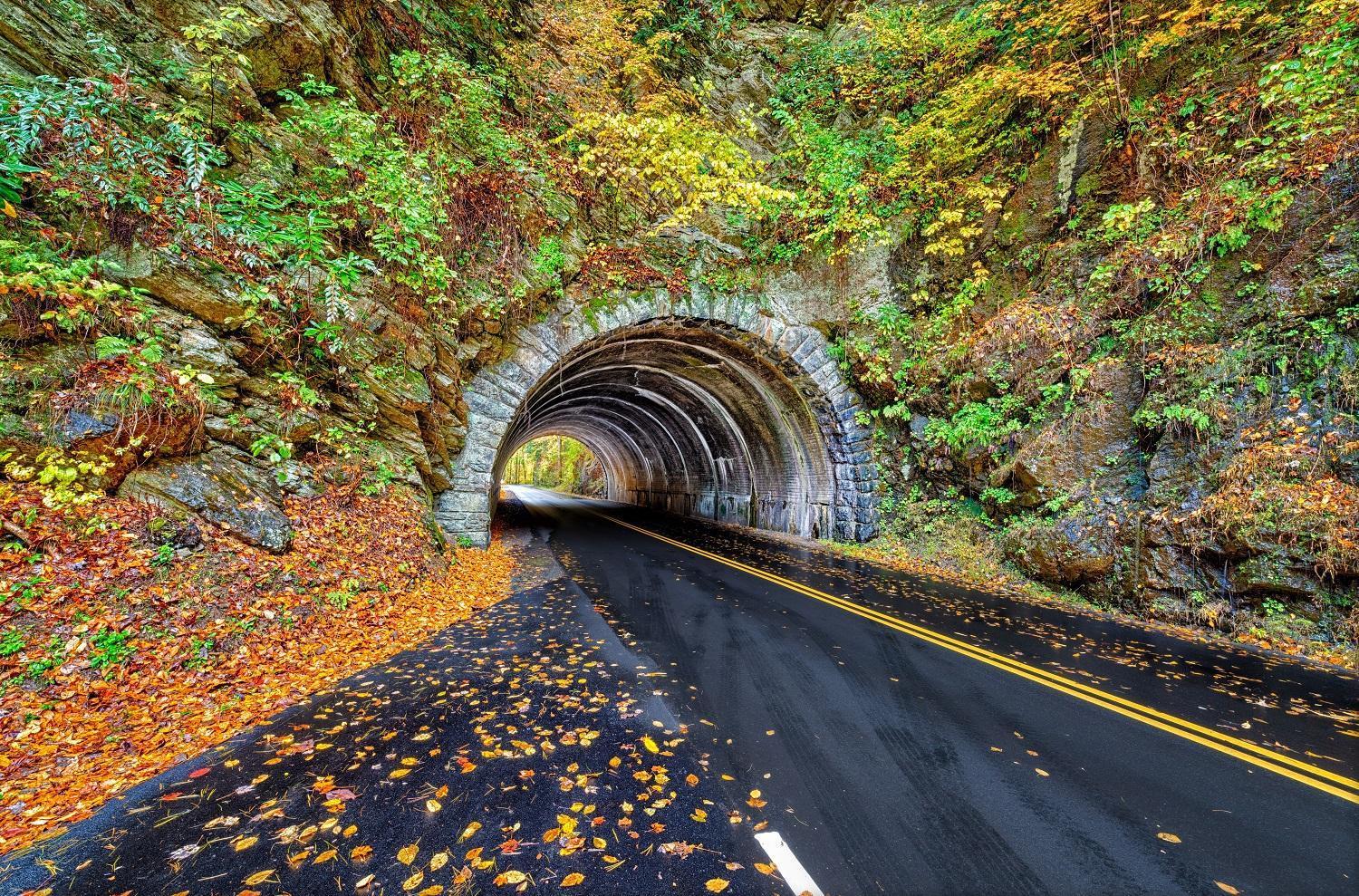 Hidden Creek, Pool Table, Hot Tub, 1089 Free Tickets Each Paid Day, Dollywood And More Gatlinburg Buitenkant foto